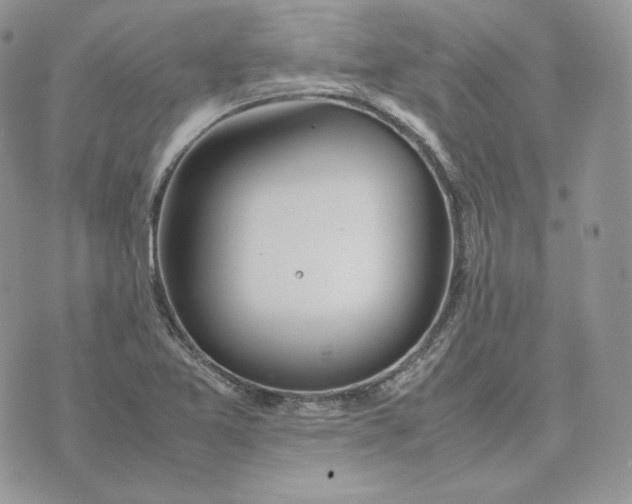 X0000075411365200609291655