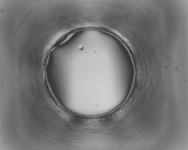 X0000075411367200609291655