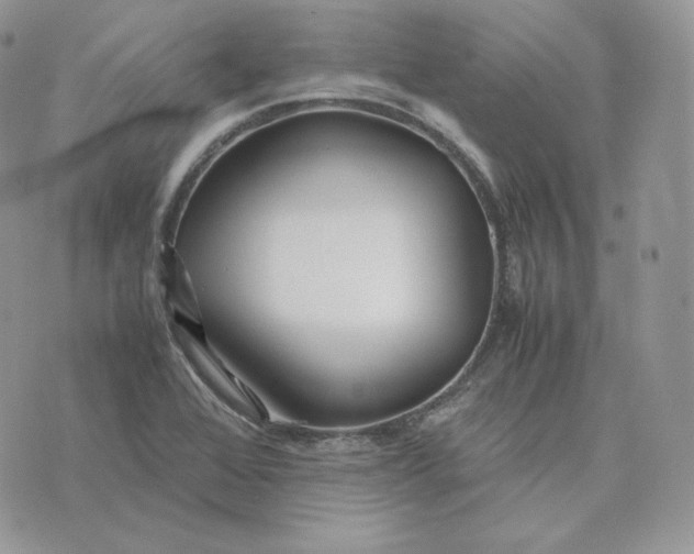 X0000075411368200609291655