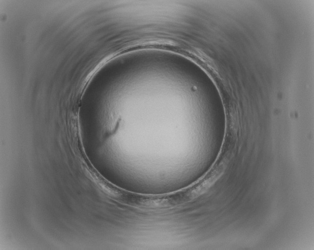 X0000075411369200609291655