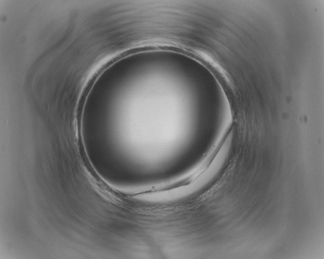 X0000075411372200609291655