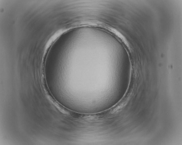 X0000075411373200609291655