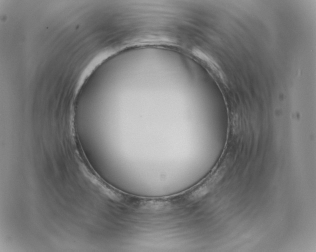 X0000075411374200609291655