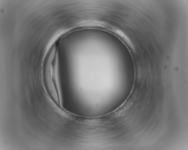 X0000075411376200609291655