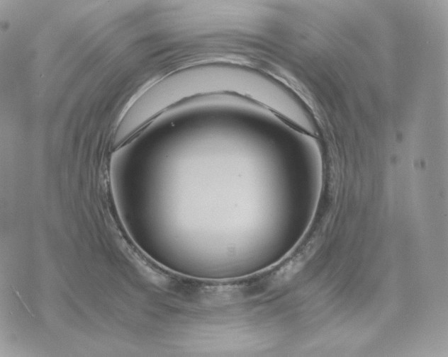 X0000075411377200609291655