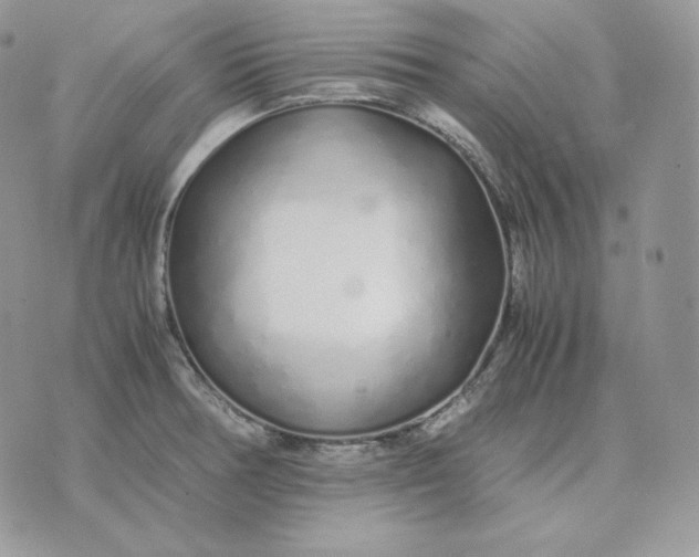 X0000075411378200609291655