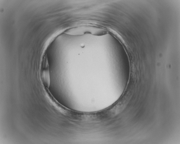 X0000075411379200609291655