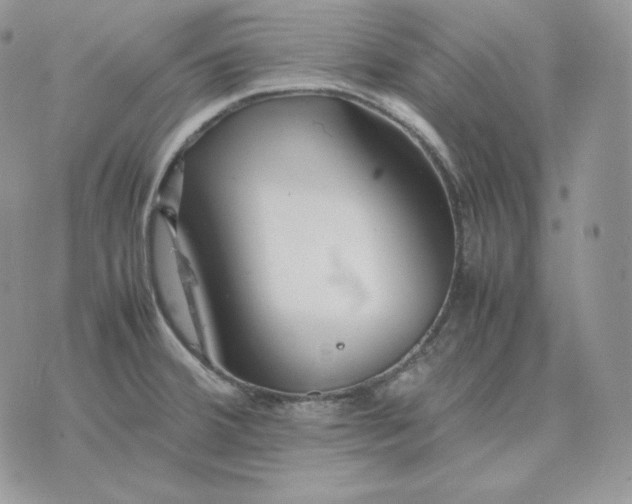 X0000075411380200609291655