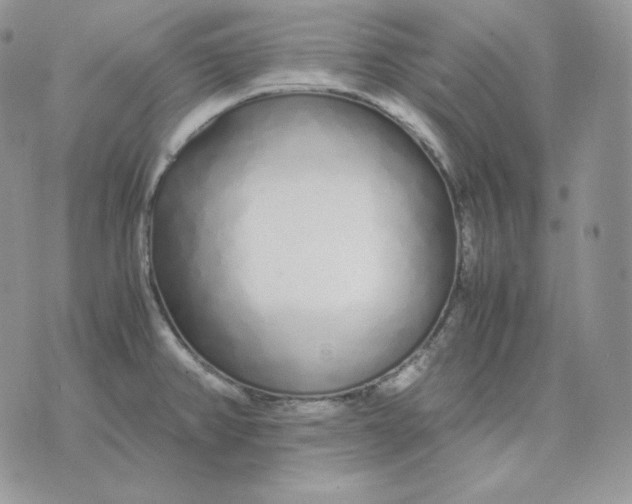 X0000075411382200609291655