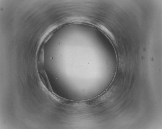 X0000075411384200609291655