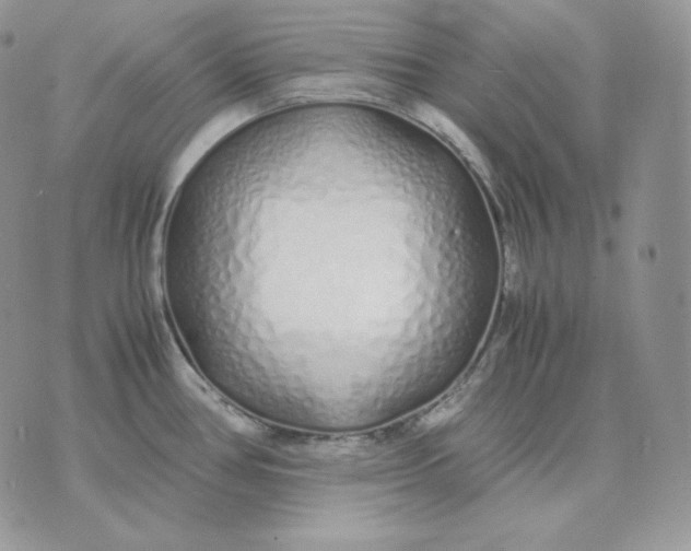 X0000075411386200609291655