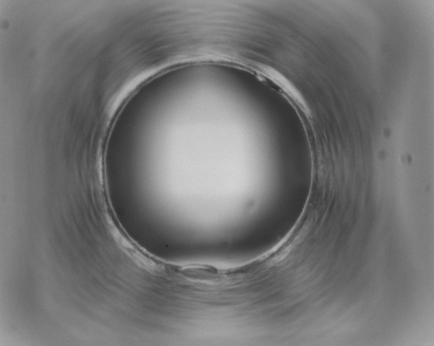 X0000075411388200609291655