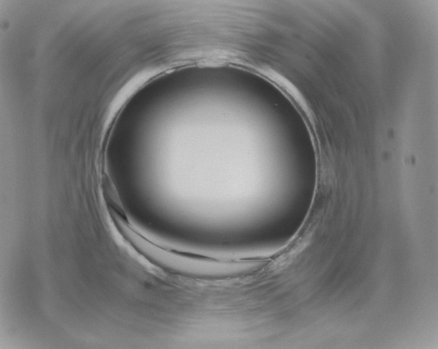 X0000075411389200609291655