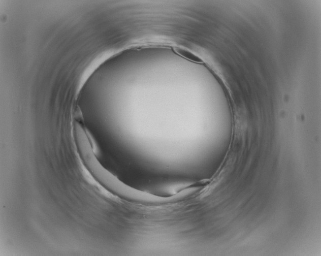 X0000075411390200609291655