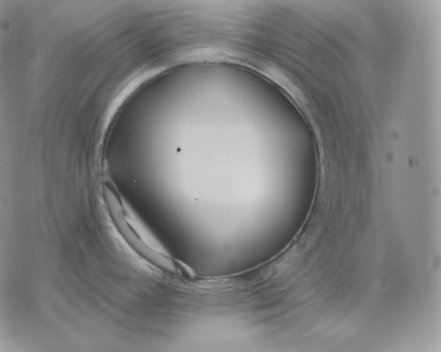 X0000075411392200609291655