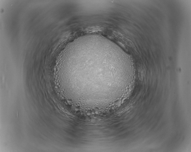 X0000075411393200609291654