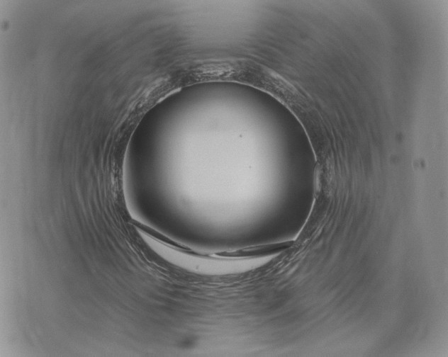 X0000075411394200609291654