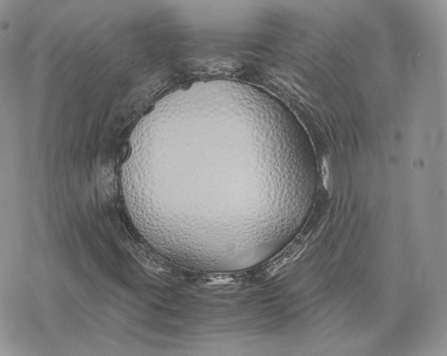 X0000075411395200609291654