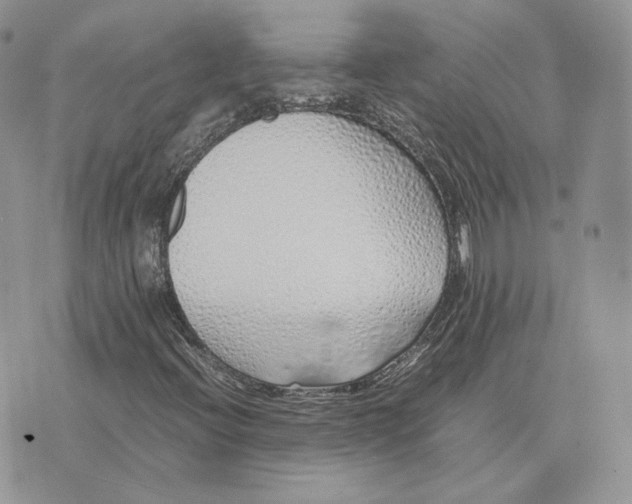 X0000075411396200609291654