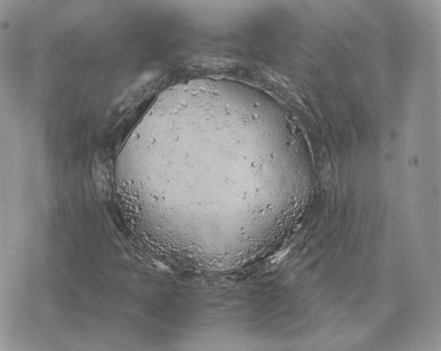 X0000075411397200609291654