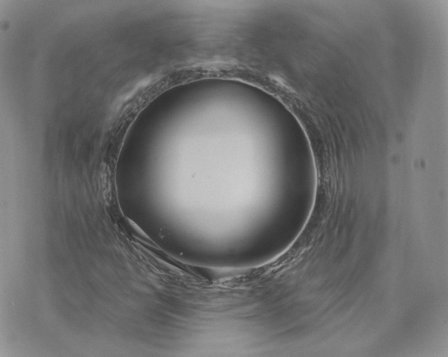 X0000075411398200609291654