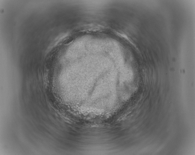 X0000075411399200609291654