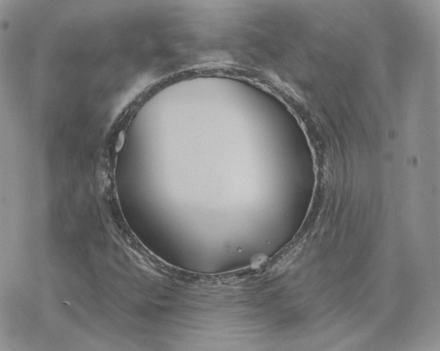 X0000075411400200609291654