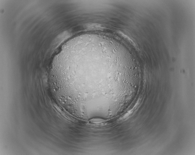 X0000075411401200609291654