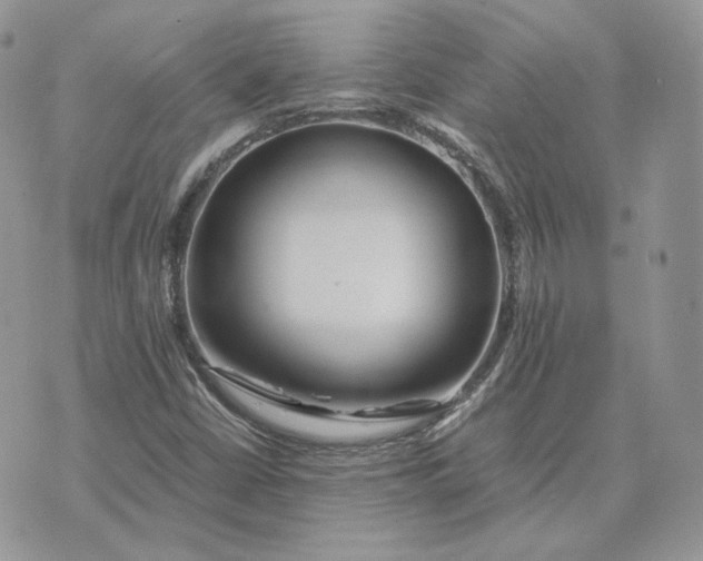 X0000075411402200609291654