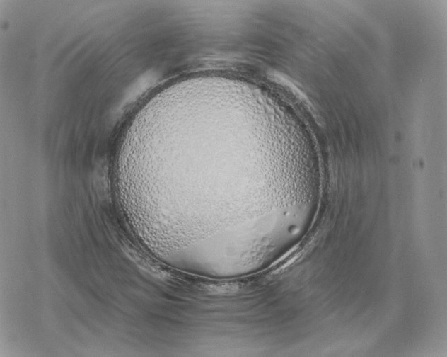 X0000075411403200609291654