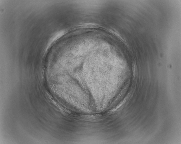 X0000075411405200609291654