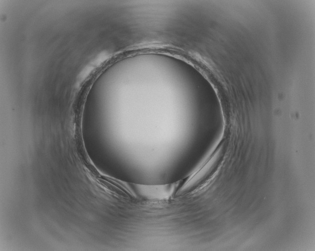 X0000075411406200609291654