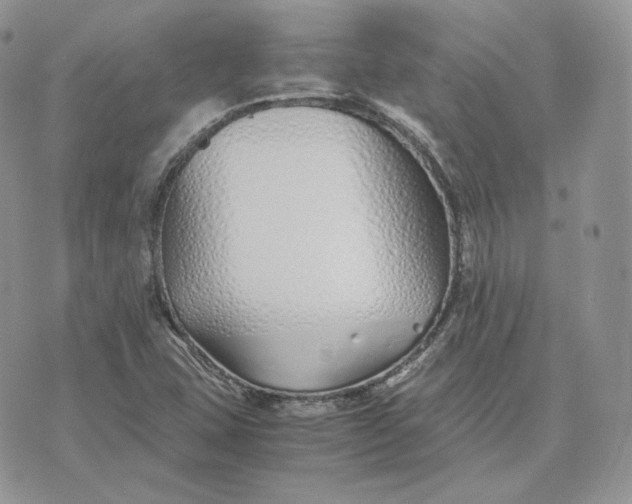 X0000075411407200609291655