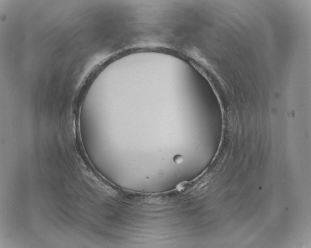 X0000075411408200609291655