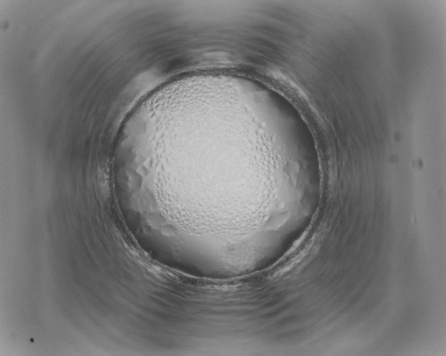 X0000075411409200609291655