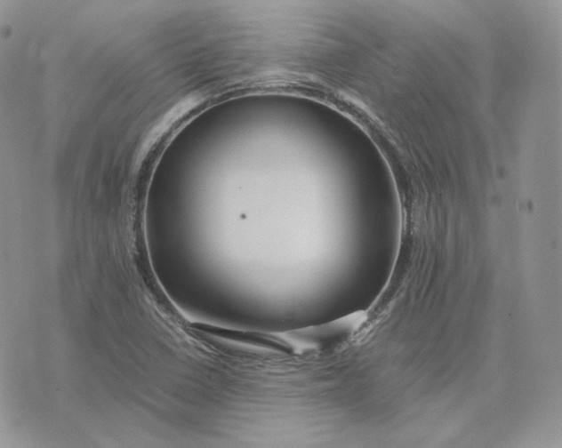 X0000075411410200609291655