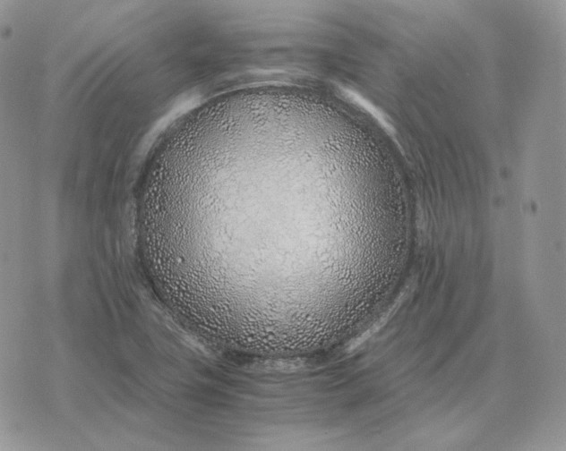 X0000075411411200609291655