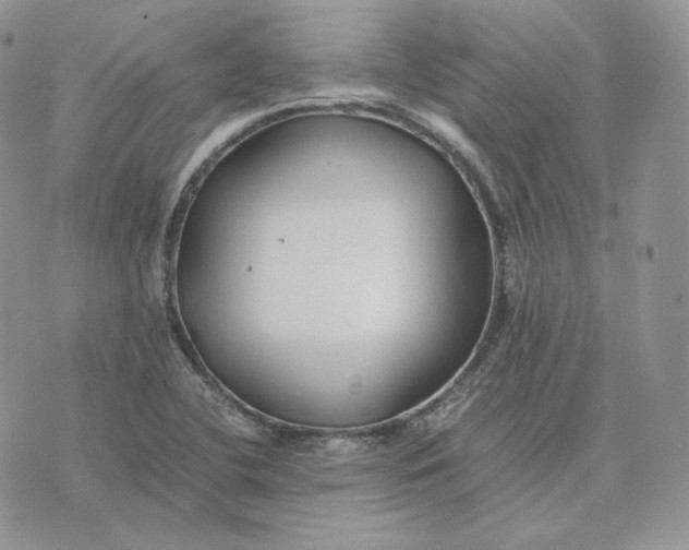 X0000075411412200609291655