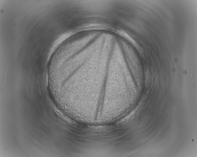 X0000075411413200609291655