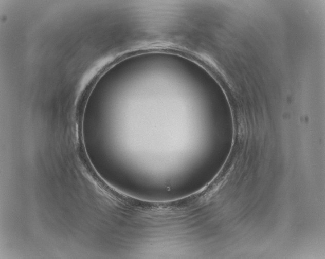 X0000075411414200609291655