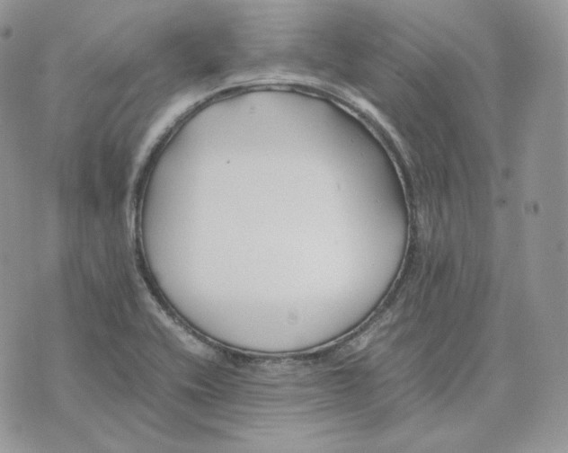 X0000075411416200609291655