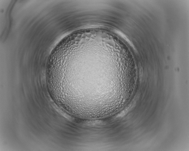 X0000075411417200609291655