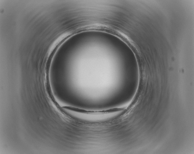 X0000075411418200609291655