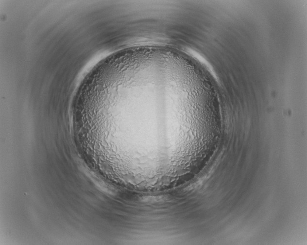 X0000075411419200609291655