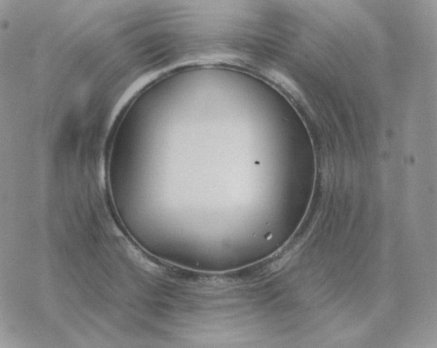 X0000075411420200609291655