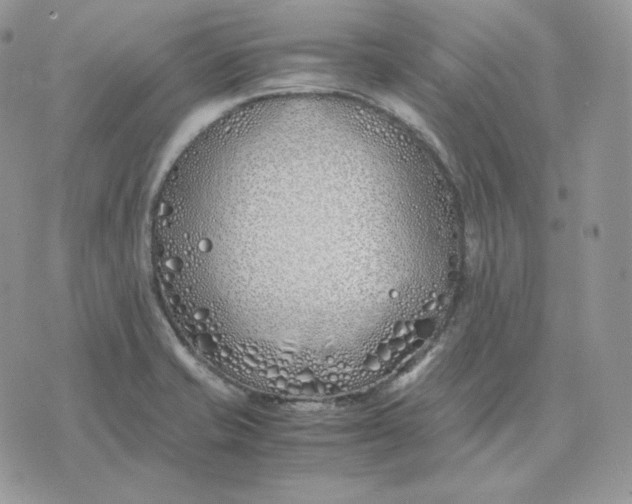 X0000075411421200609291655