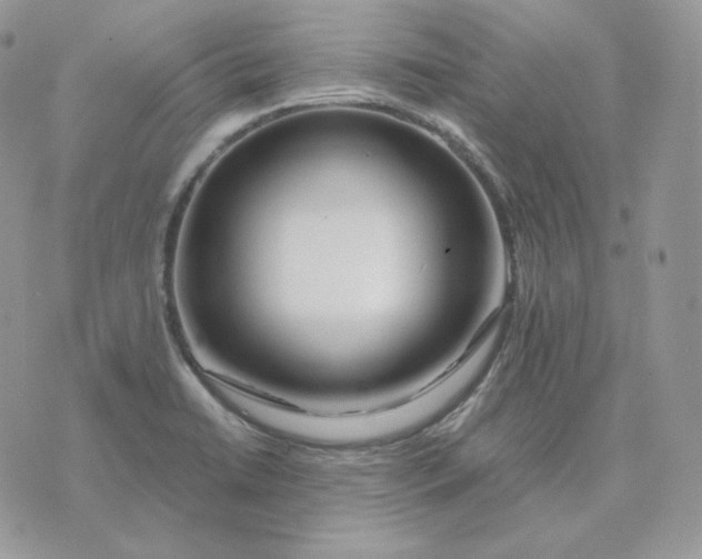 X0000075411422200609291655