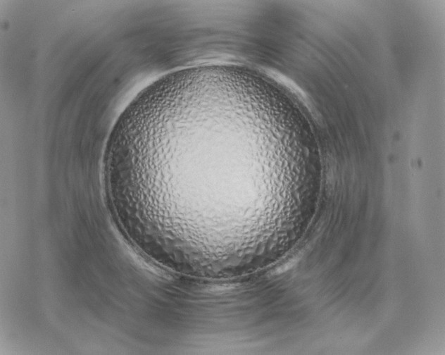 X0000075411423200609291655