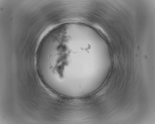 X0000075411424200609291655