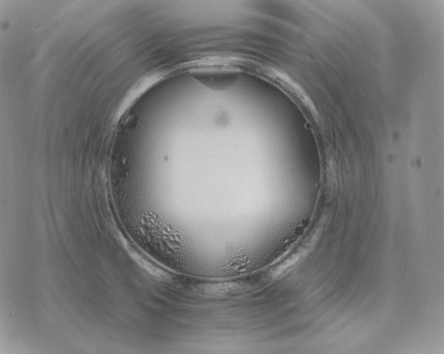 X0000075411425200609291655